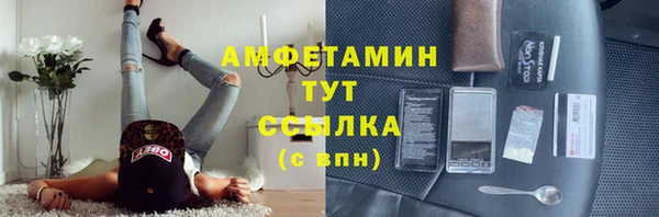 ECSTASY Елизово