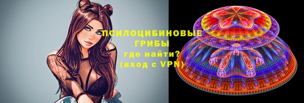 ECSTASY Елизово