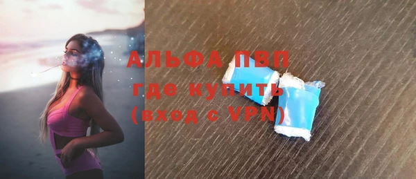 винт Ельня