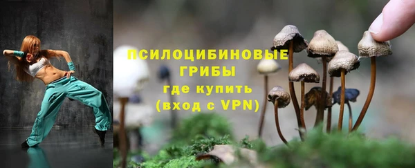 ECSTASY Елизово