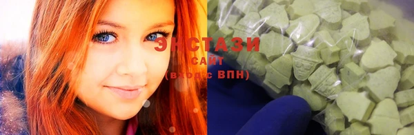 винт Ельня