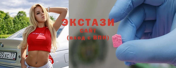 винт Ельня