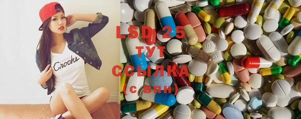 ECSTASY Елизово