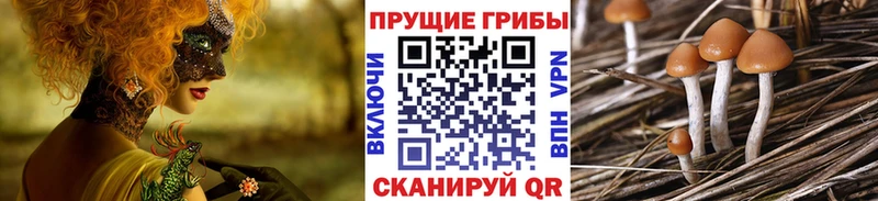 Псилоцибиновые грибы прущие грибы  Купить закладки  Краснотурьинск 