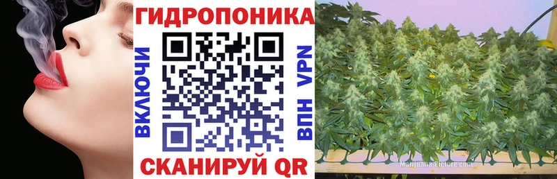 Канабис ГИДРОПОН  Купить где  Краснотурьинск 